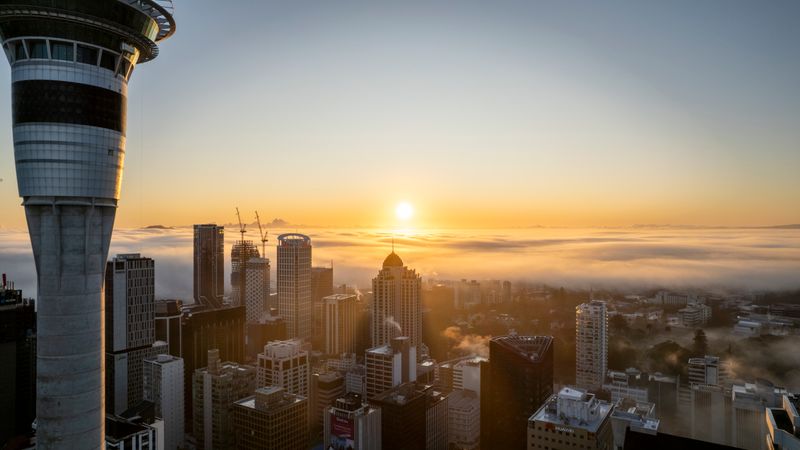 Auckland's Sky Tower and skyline rising above a blanket of morning fog at sunrise
