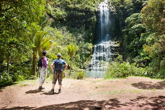 Auckland City & West Coast Luxury Tour